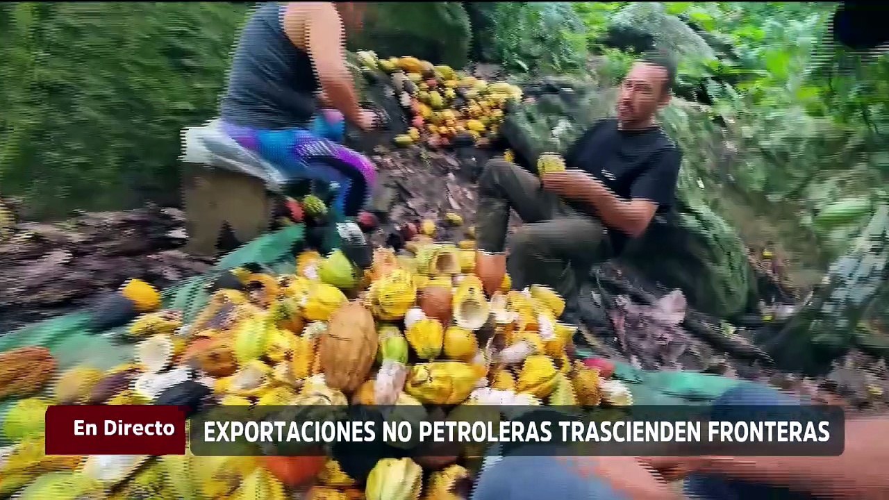 Antonio Alonso: Venezuela tiene muchas potencialidades con productos no petroleros