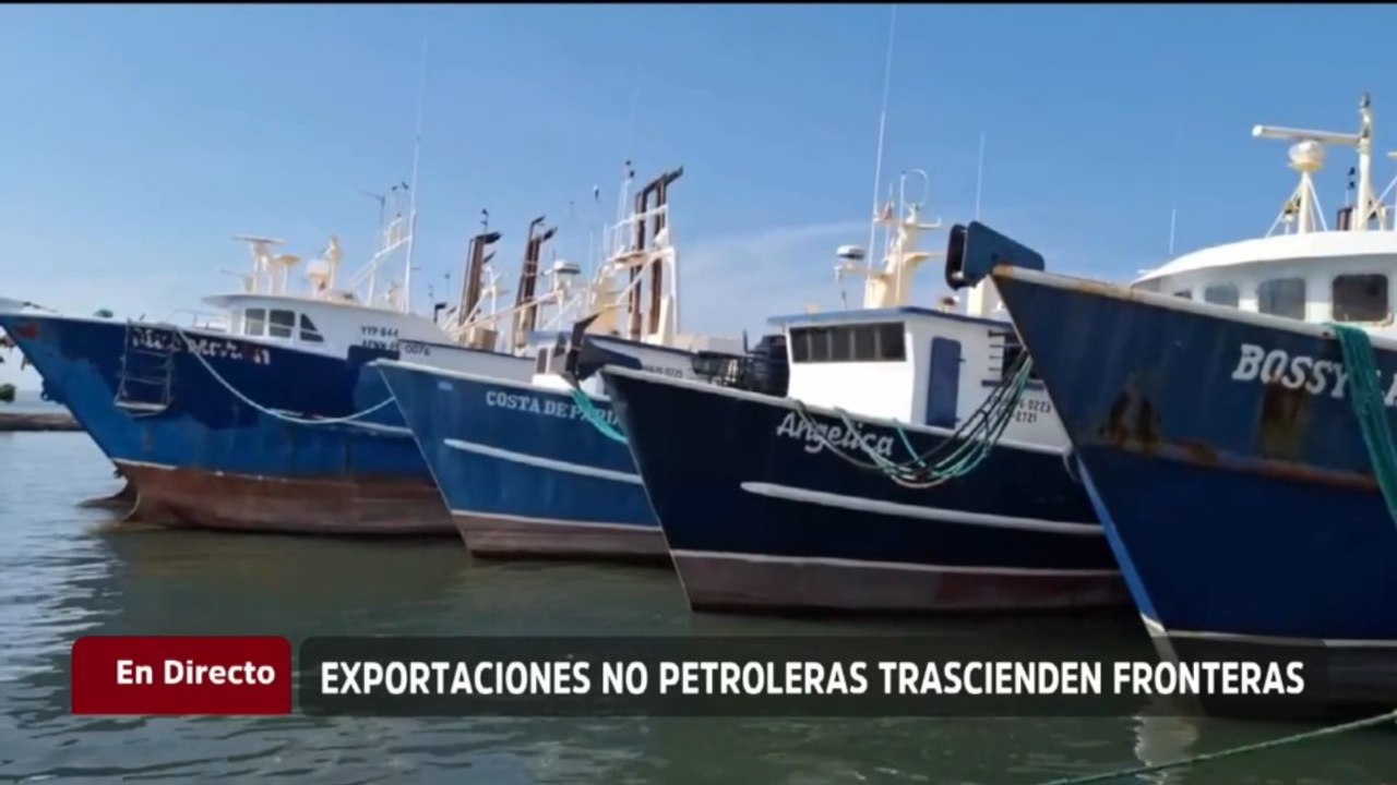 Venezuela tiene productos para su diversificación y avanza en mejoras legislativas