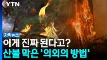 이따 다섯시에 숲에 불이 날 거예요...거대한 산불 막는 가장 역설적인 방법 [자막뉴스] / YTN