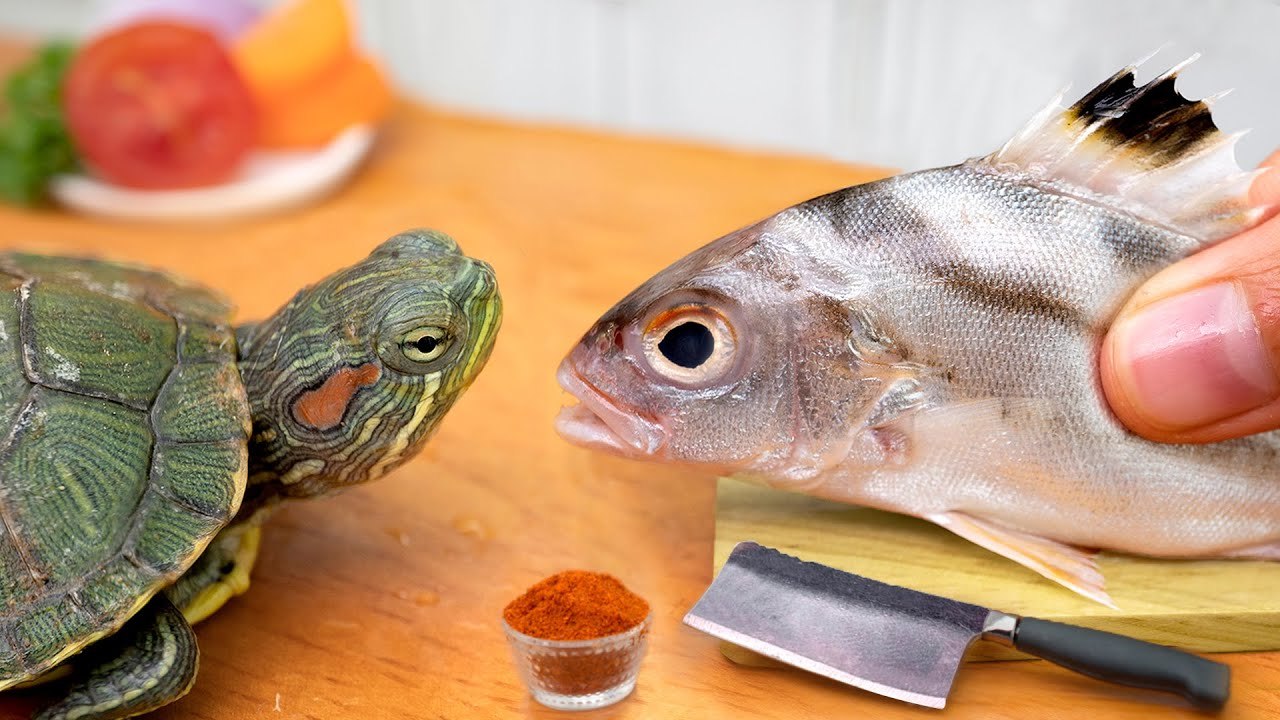 Cooking Miniature Fish Fried for Mini Turtle in...