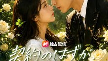 契約のはずが、溺愛されてます | 全話 | Short Drama 日本語