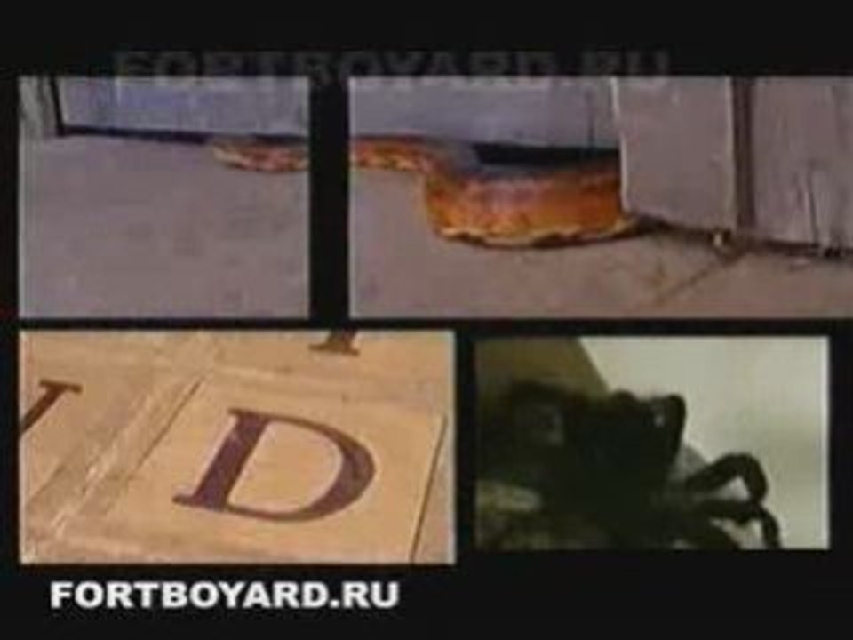 Générique belge fort boyard