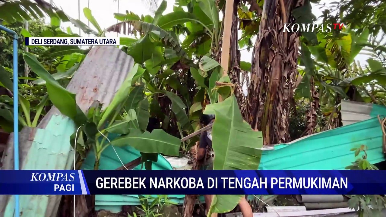 Sarang Narkoba Deli Serdang Dipasangi Kamera, Polisi Sita Narkoba dan Mesin Judi | KOMPAS PAGI