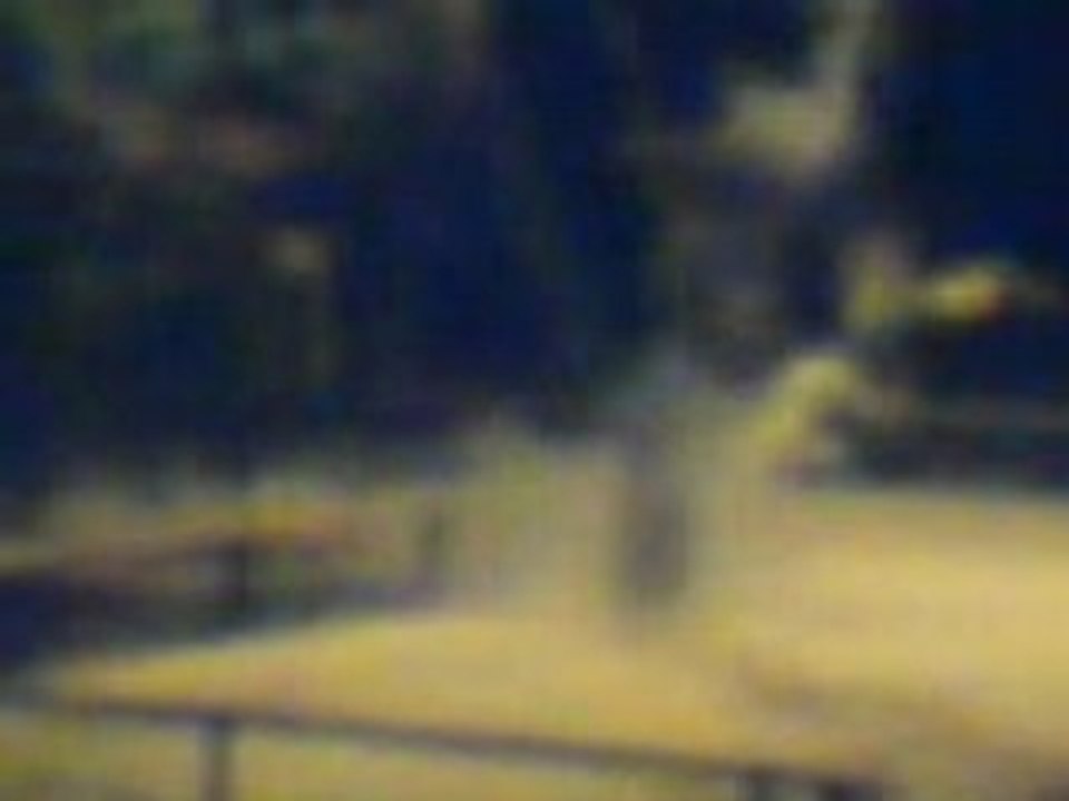 bombe acide (2)