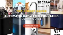 Amazing Automatic Cat Water Fountains Ultra Quiet You Need To See - Ultra Quiet Cat Water Fountain Filter Smart Automati...