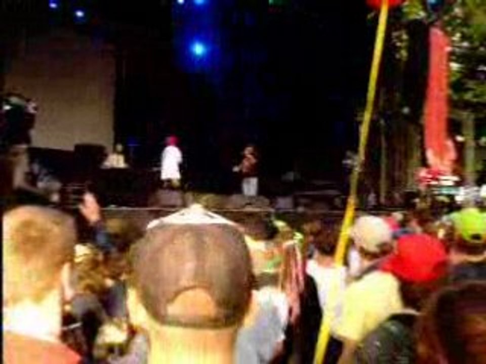 Dizzee Rascal Live @ Les Ardentes 2008