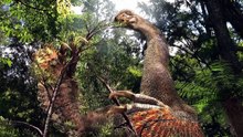 Los dinosaurios más raros que han descubierto los científicos...