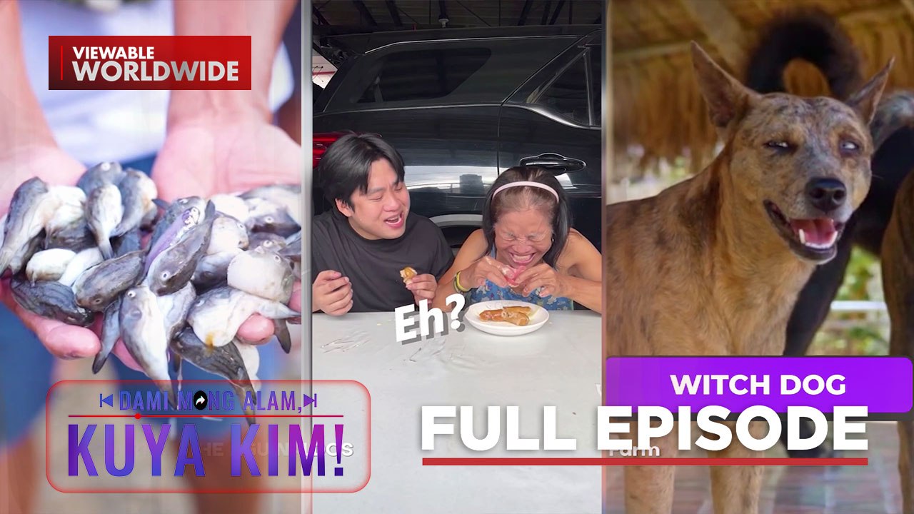 Mga isdang kinatatakutan pero puwedeng kainin?!; Asong gubat, alamin! | Dami Mong Alam, Kuya Kim!