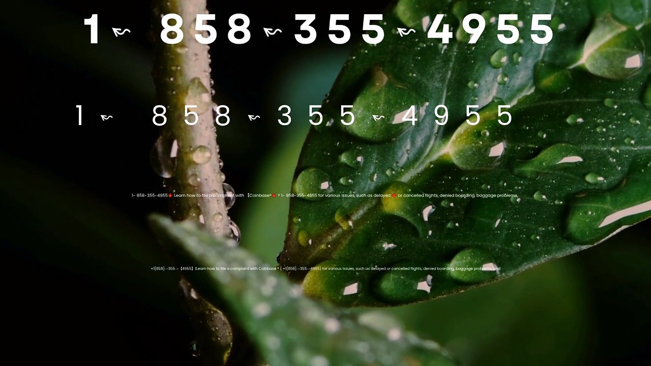 ≋[FULL GUIDE] Coinbase® HELP DESK© SUPPoRT℗ Phone NuMber (OfficiAl)Music (21)