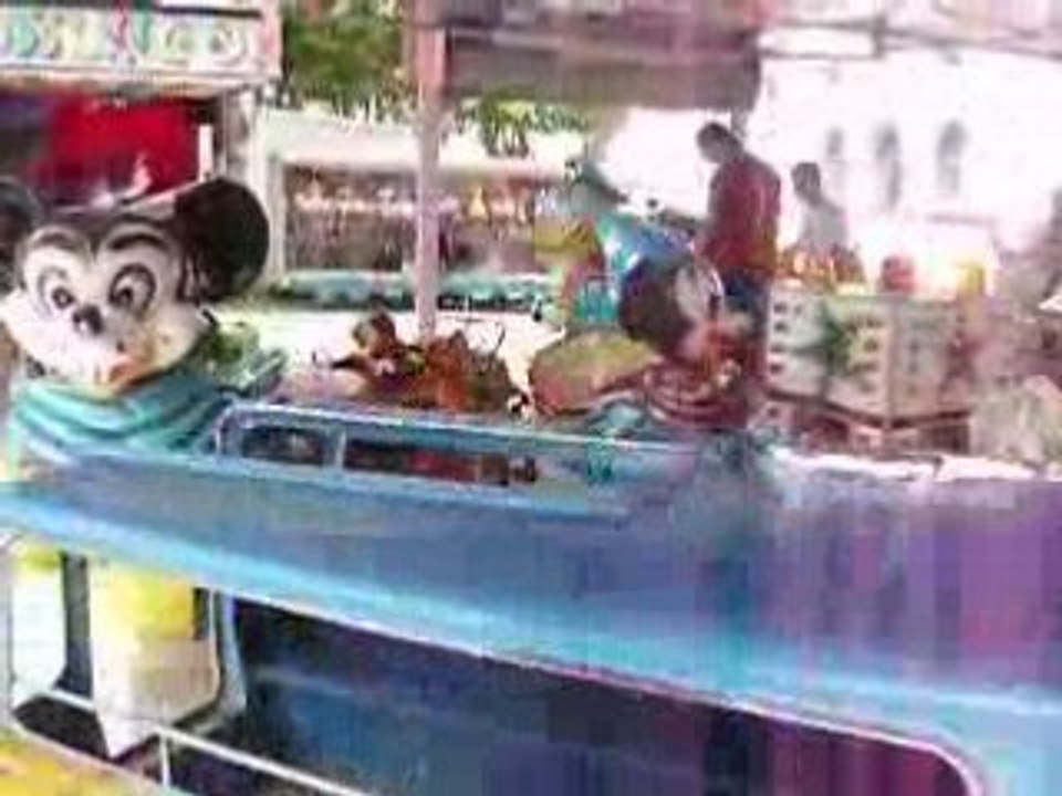 IMGP0006