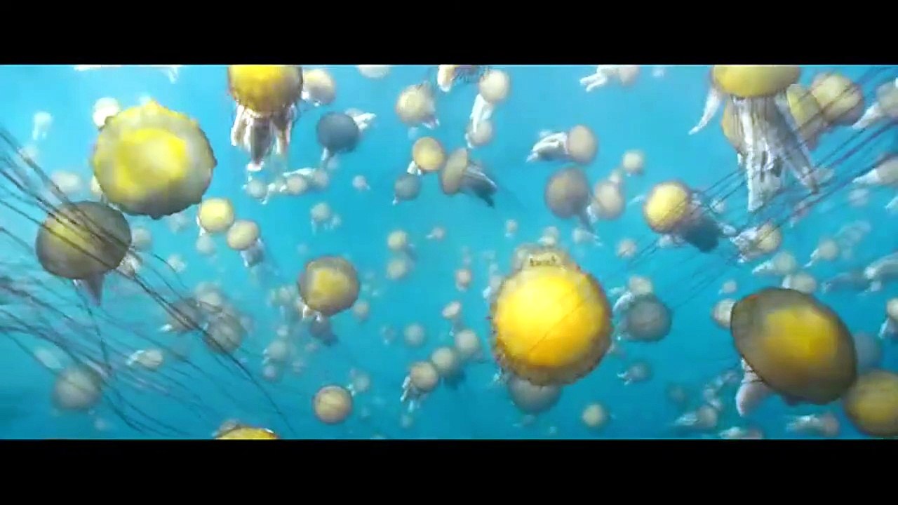 Océans