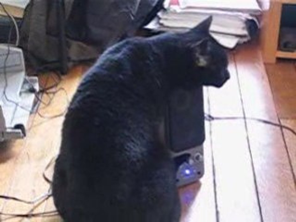 MISTER LEON LA GRATOUILLE !!!