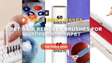 Ultimate Guide to the Best Pet Hair Remover Brushes For Sofa And Carpet