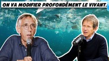 Les effets désastreux du réchauffement sur l'océan, par Jancovici et cie.