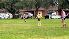 LVFNL: BL-Serpentine v Mitiamo. August 8, 2026.