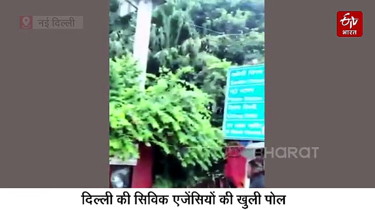 दिल्ली-एनसीआर में बारिश बनी मुसीबत: कई इलाके जलमग्न, 9 से ज्यादा मकान गिरे, AAP ने उठाए सवाल