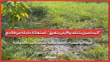 "المحاصيل بتتلف والأرض بتغرق".. استغاثة عاجلة من فلاحي قرية الواصفية بالإسماعيلية بسبب المياه الجوفية