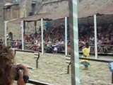 Chevalerie grand tournois de carcassonne 8