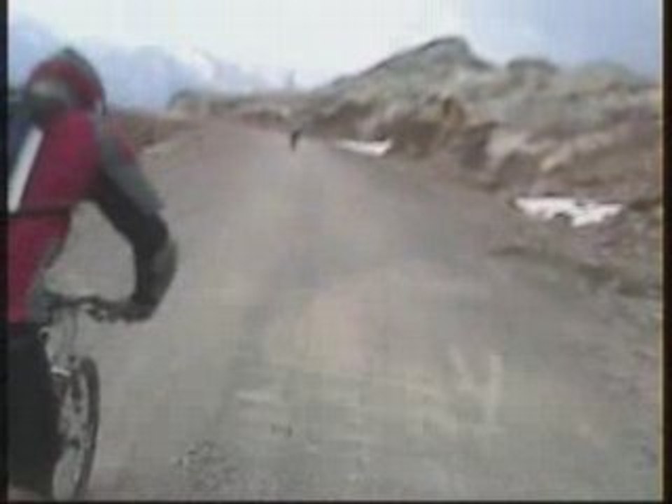 Mégavalanche qualif Bucheron 25 1/4