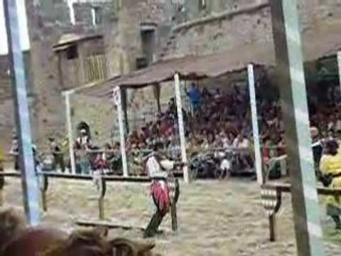 Chevalerie grand tournois de Carcassonne 9