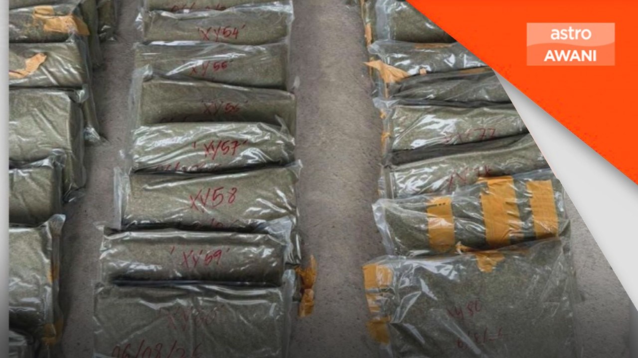 11.45 tan serbuk ketum bernilai RM1.1 juta dirampas di Tuaran