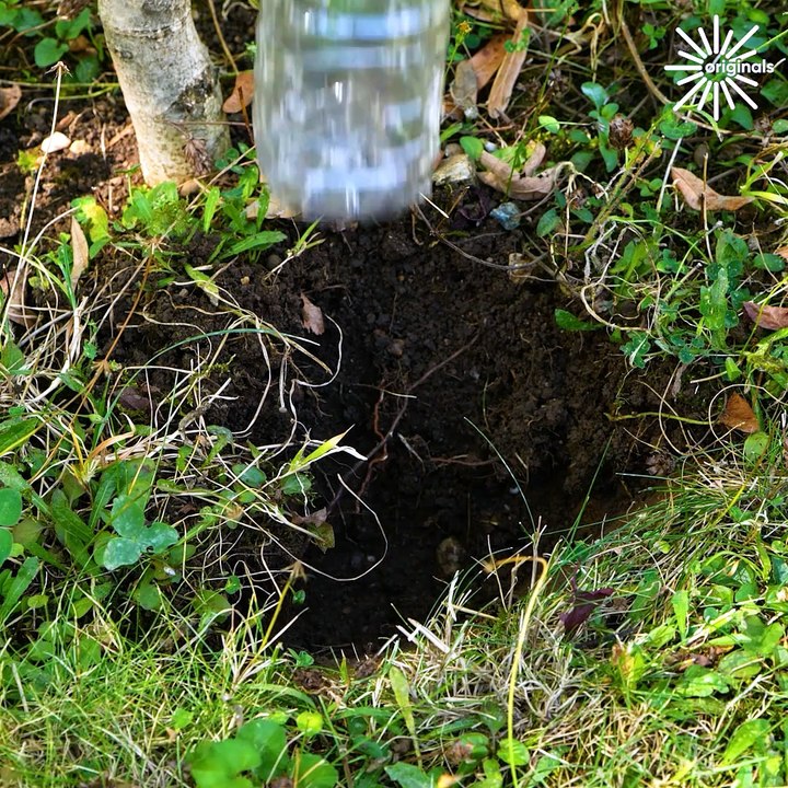 A mix of useful life hacks! 🌿🔨