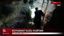 10 metrelik çukura düşen kuzu 2 gün sonra kurtarıldı
