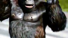 🦍 King Kong Just Learned How to Dance! 😂🔥 | AI Dance