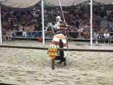 Chevalerie grand tournois de carcassonne 10