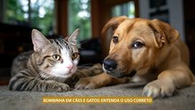 DRA SAMARA NASCIMENTO - 08 de agosto de 2026