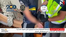 النشرة الصباحية  - 08/08/2026