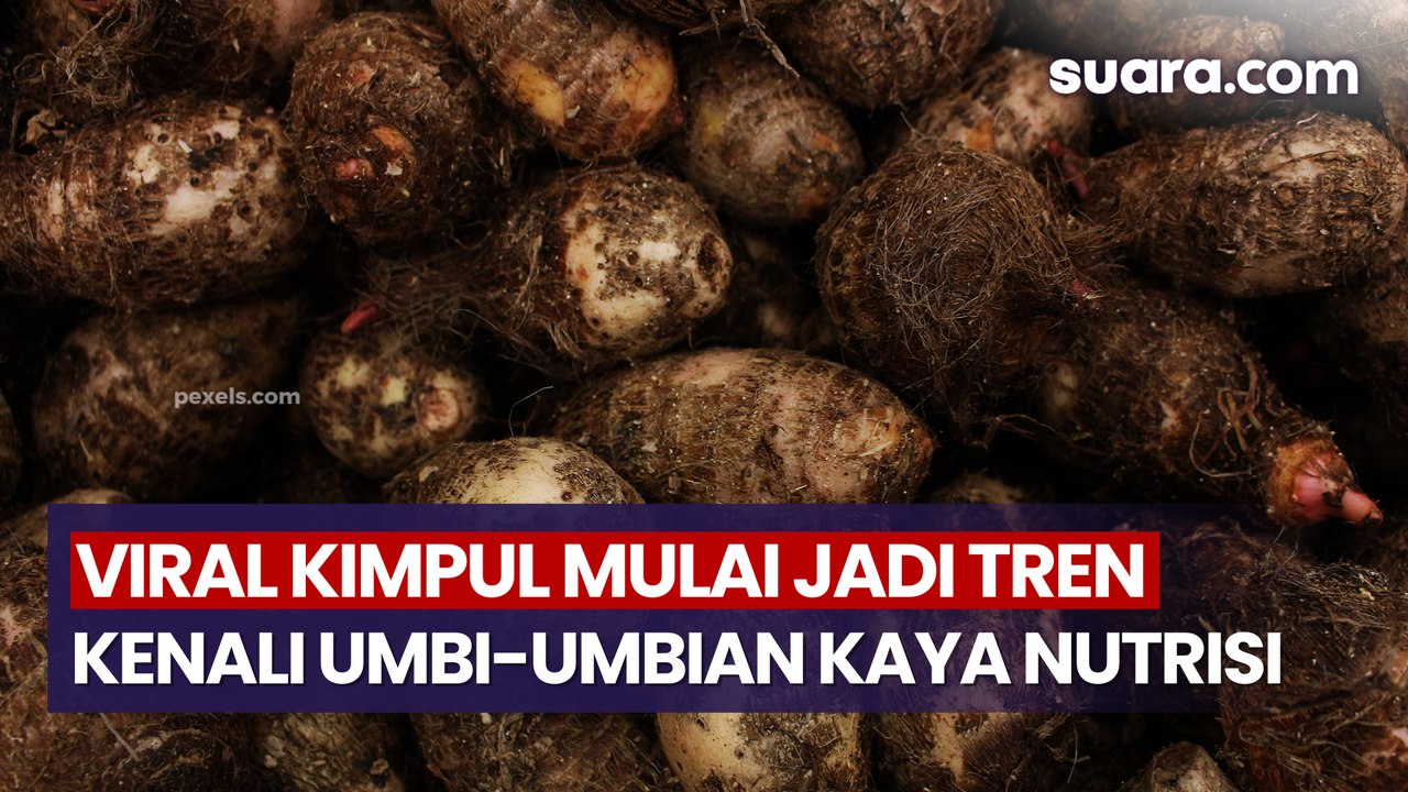 Viral Kimpul Mulai Jadi Tren, Kenali Berbagai Umbi-umbian Lokal yang Kaya Nutrisi