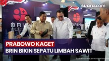Prabowo Kaget, BRIN Bikin Sepatu Dari Limbah Sawit Dijual Rp60 Ribu