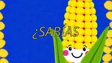 10000 palabras en inglés - ¿Corn  maíz o grano?
