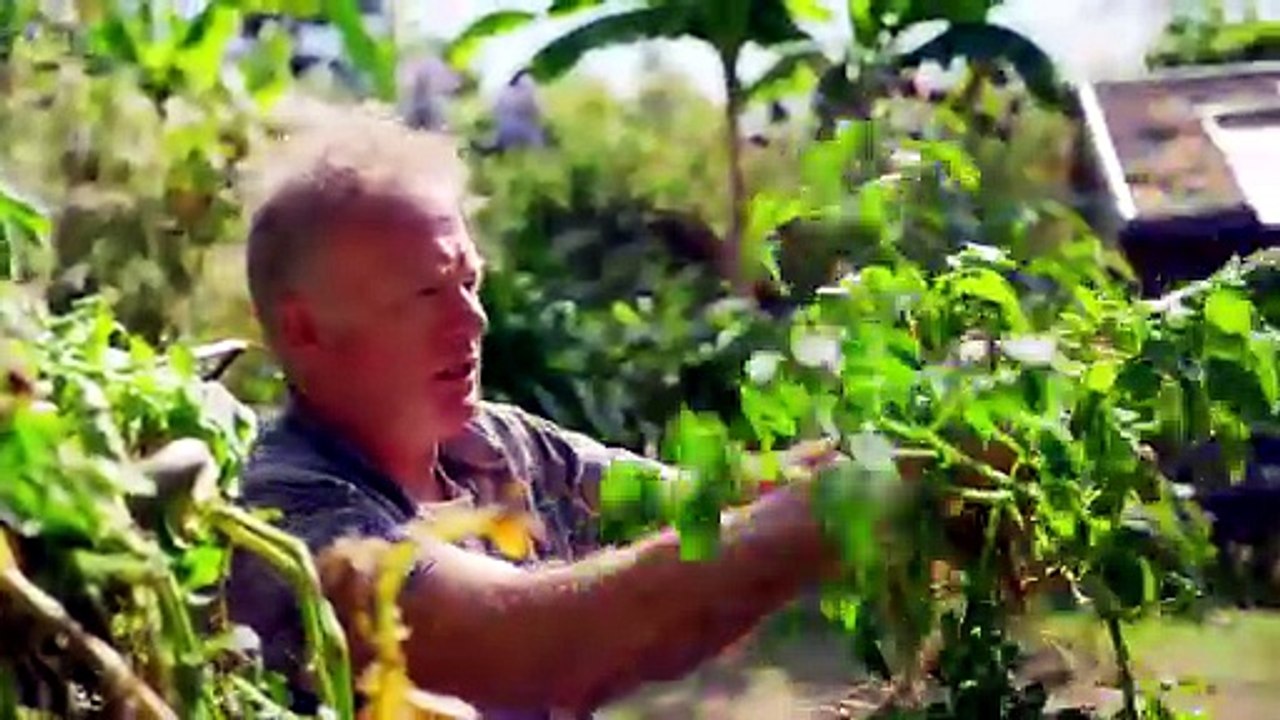 Gardeners' World Season 59 Episode 21