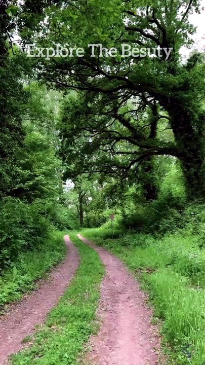 Green World | Explore the Beauty #green