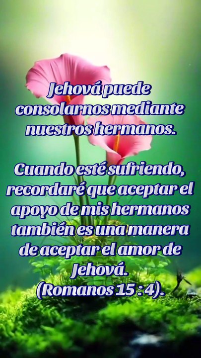 Reflexiones Bíblicas
