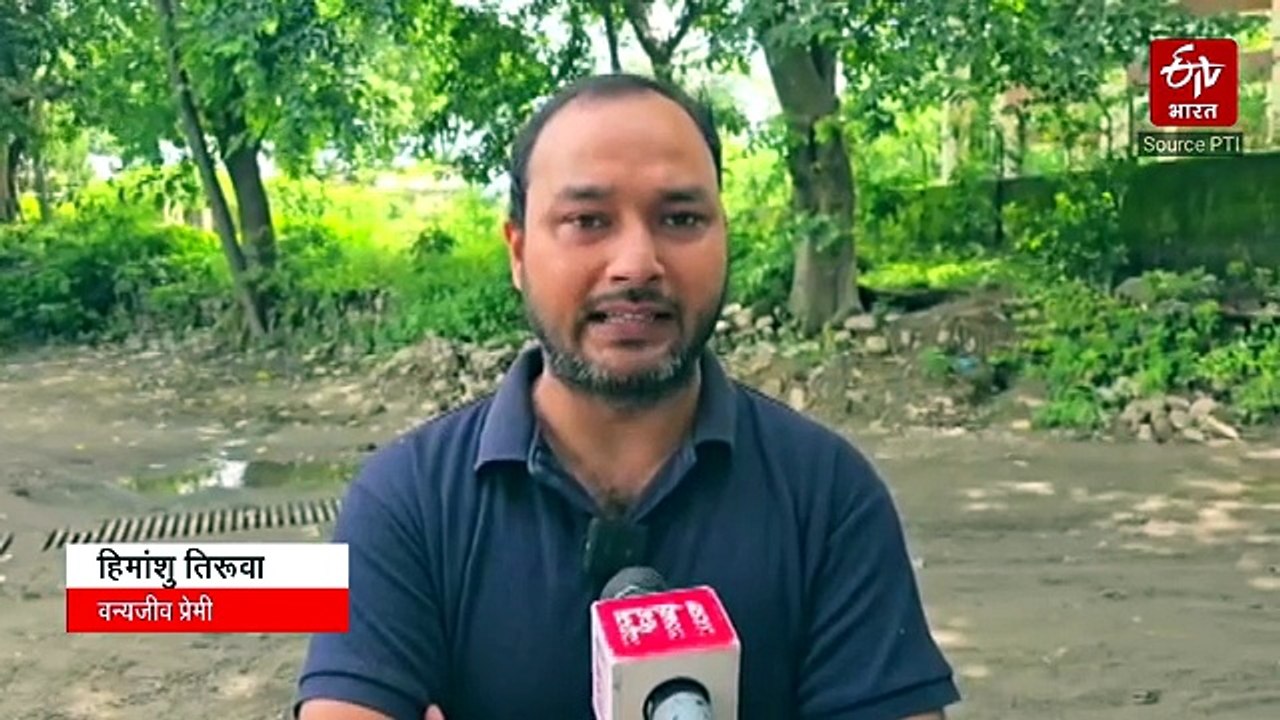 'प्रोजेक्ट टाइगर' की जन्मस्थली कॉर्बेट नेशनल पार्क के 90 साल पूरे, जानें 1936 से लेकर अब तक का शानदार सफर!