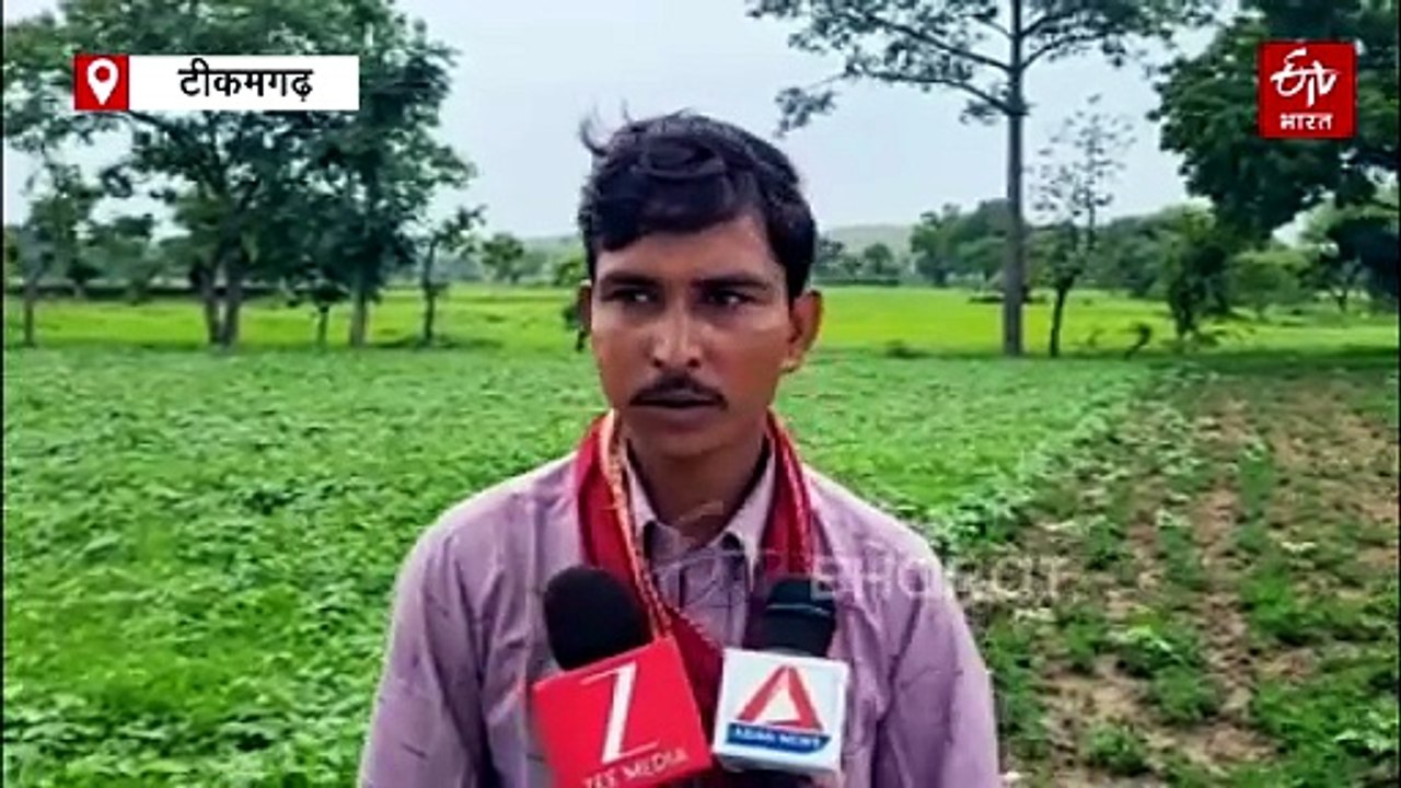 साहब मेरा तालाब चोरी हो गया है, टीकमगढ़ में किसान की गुहार सुन अफसर हैरान