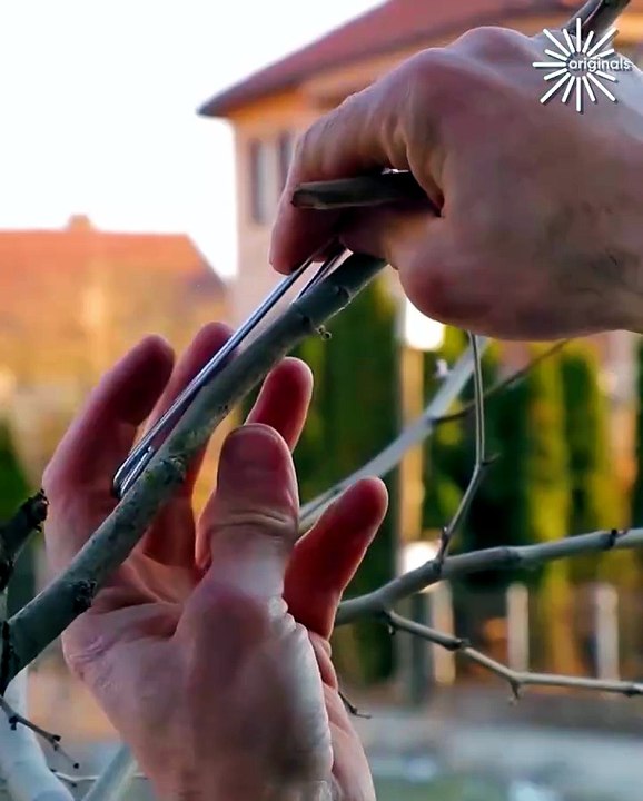 Check out these genius hacks that actually work!