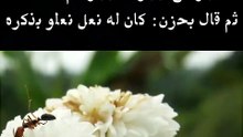 وصف الحسن البصري الرسول لطلابه فلما وصل إلى نعله قال: كان له نعل نعلو بذكره