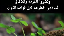 يتسلل النمل عبر الجحور ويتسلل أعــــــــــــداؤنا عبر الثغور