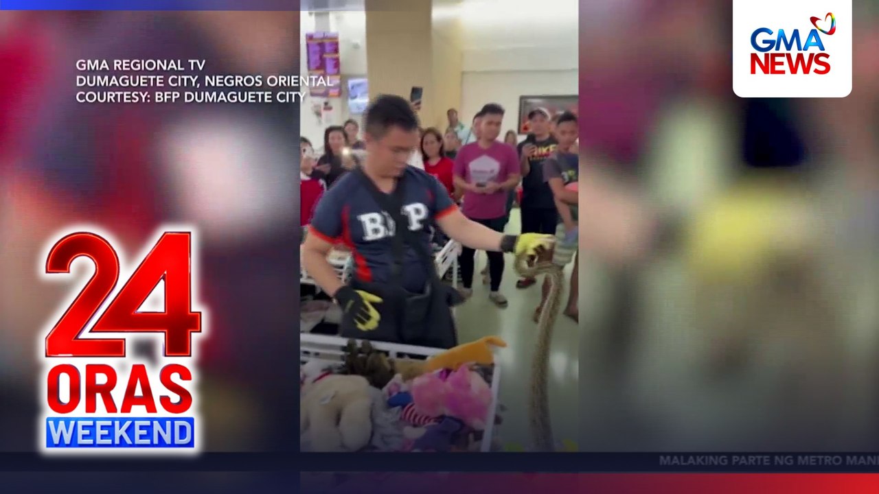 Sawa, nakuha sa mga stuffed toy sa isang ukayan sa Dumaguete | 24 Oras Weekend