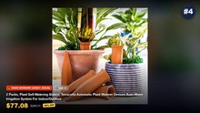 Amazing Smart Plant Watering Globes And Auto Drippers You Need To See