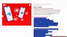 Why Buy Telegram Accounts Safely for Business Growth