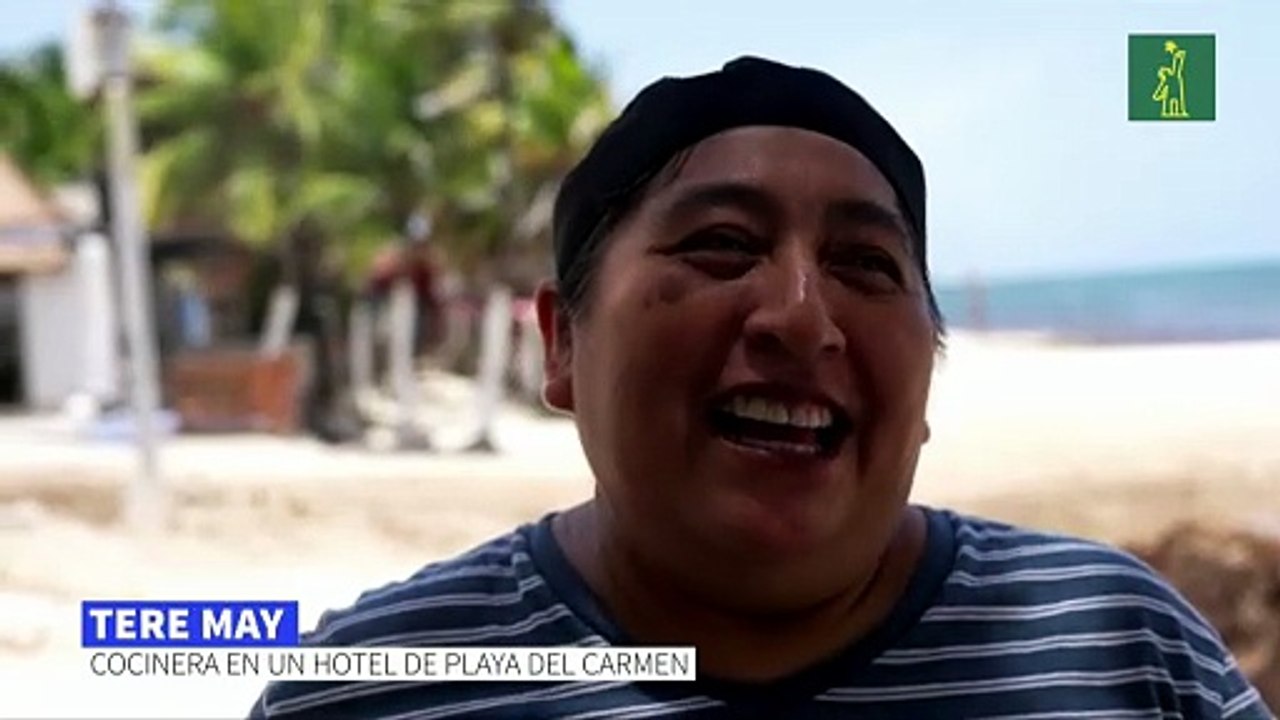 Playas vacías y "olor insoportable": México libra dura batalla contra el sargazo