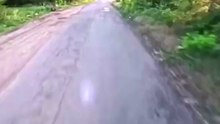 Rabbit jump kicks a man off his scooter 🐇🛴