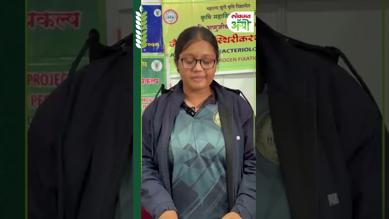 Azospirillum : जमिनीची सुपिकता वाढण्यासाठी आणि बियांची लवकर उगवण होण्यासाठीचे जैविक खत!