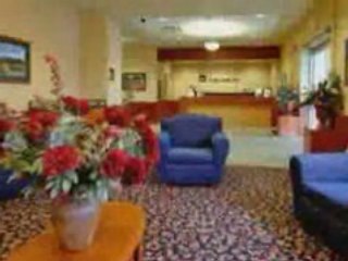 Best Western Calgary Centre Inn Video Tour