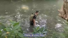 HIGH-RISK COBRA RESCUE IN THE RIVER | PHILIPPINE COBRA MOVES FAST UNDERWATER | English Subtitles